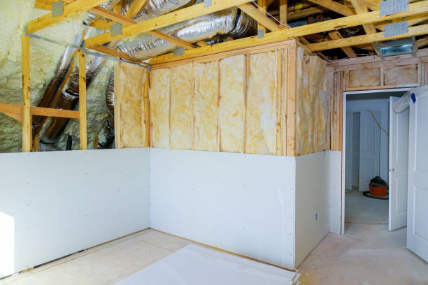 Best Insulation Removal Services  in Cloverdale, VA