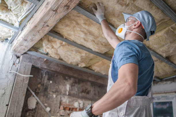 Best Energy-efficient Insulation  in Cloverdale, VA