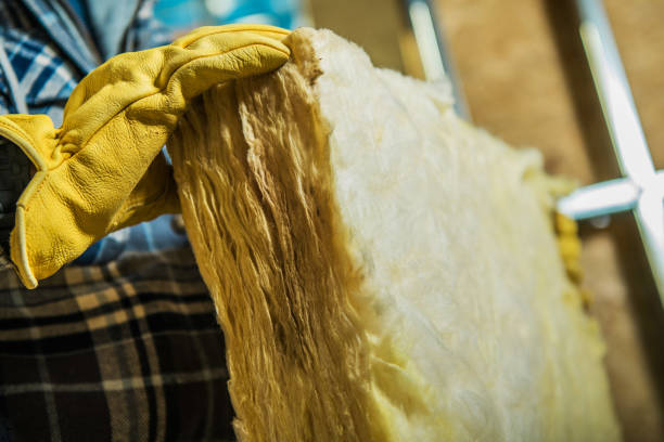 Best Professional Insulation Contractor  in Cloverdale, VA