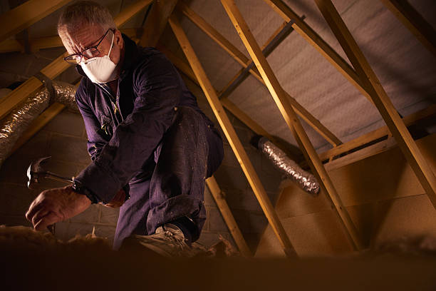 Best Insulation Removal  in Cloverdale, VA